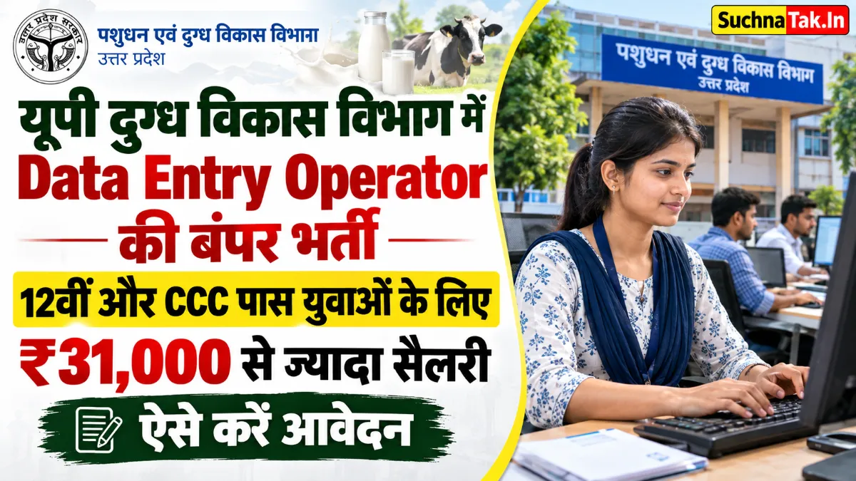 Data Entry Operator